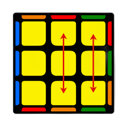 F case